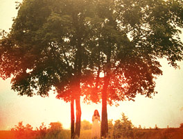 网络短信呼叫软件虚拟号码