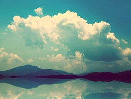 网络短信呼叫软件虚拟号码