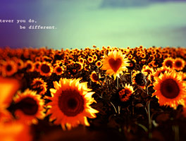 短信轰炸机网页版